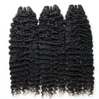 13A BURMESE CURL BUNDLE