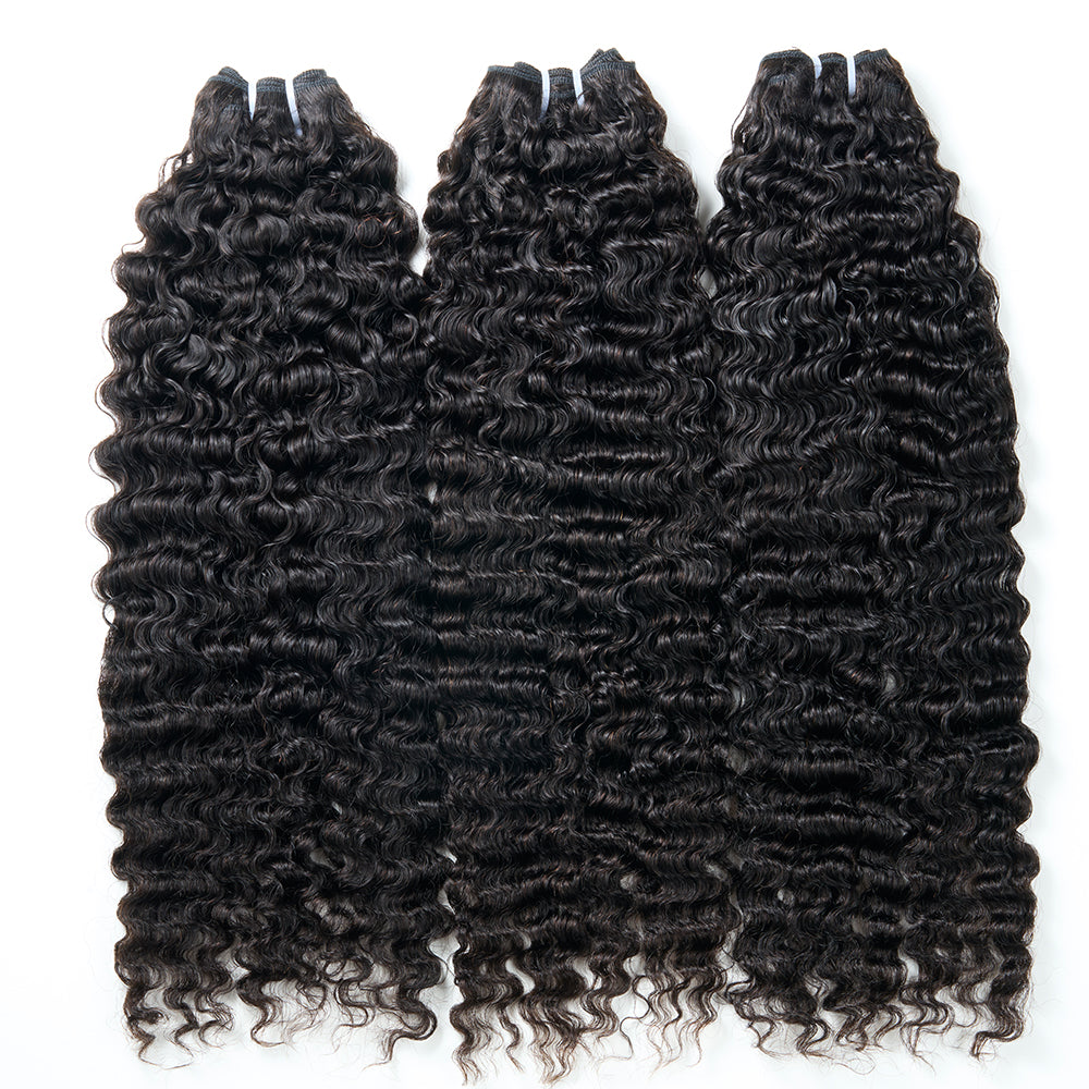 13A BURMESE CURL BUNDLE