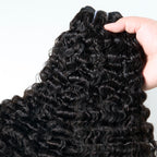 13A BURMESE CURL BUNDLE