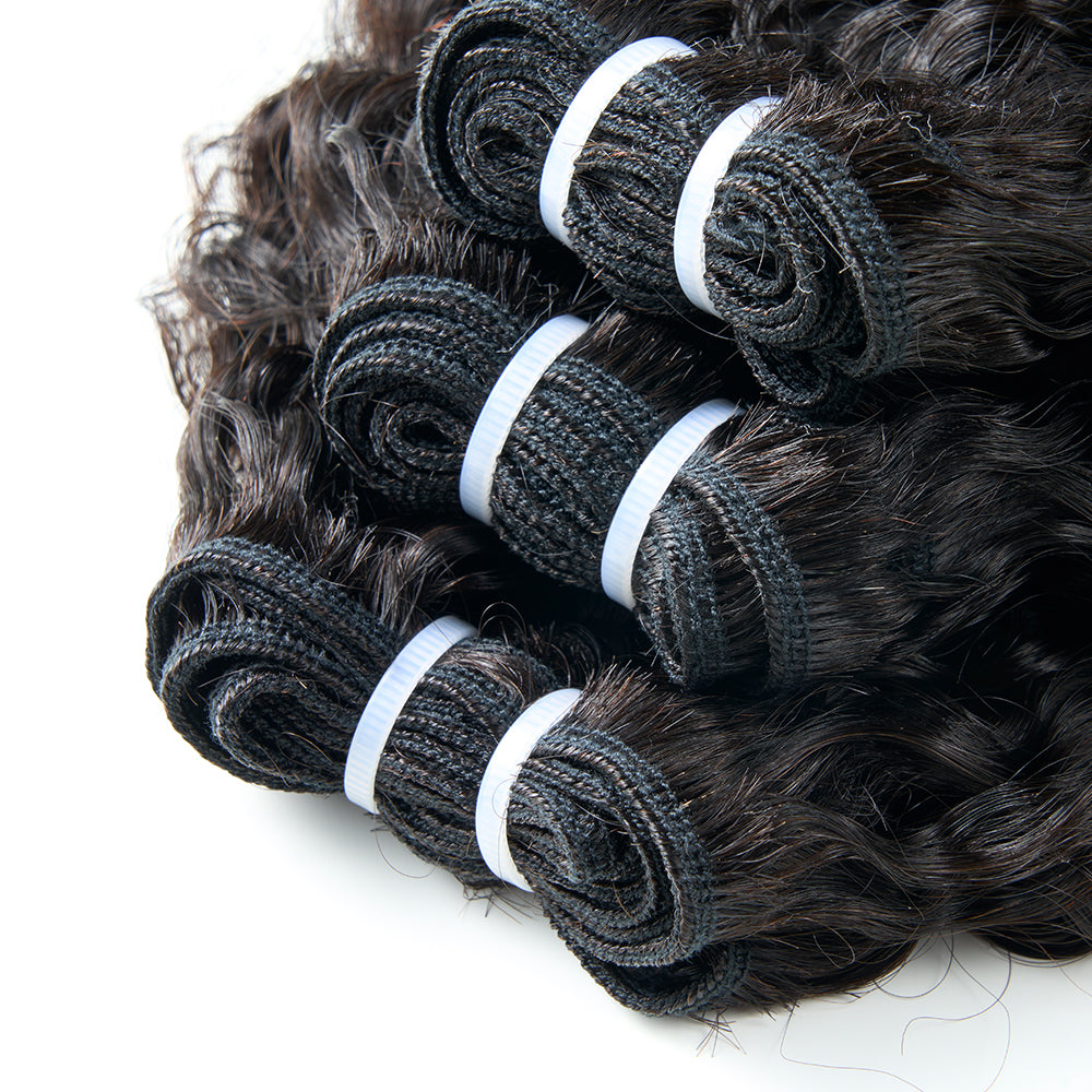 13A BURMESE CURL BUNDLE