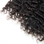 13A BURMESE CURL BUNDLE
