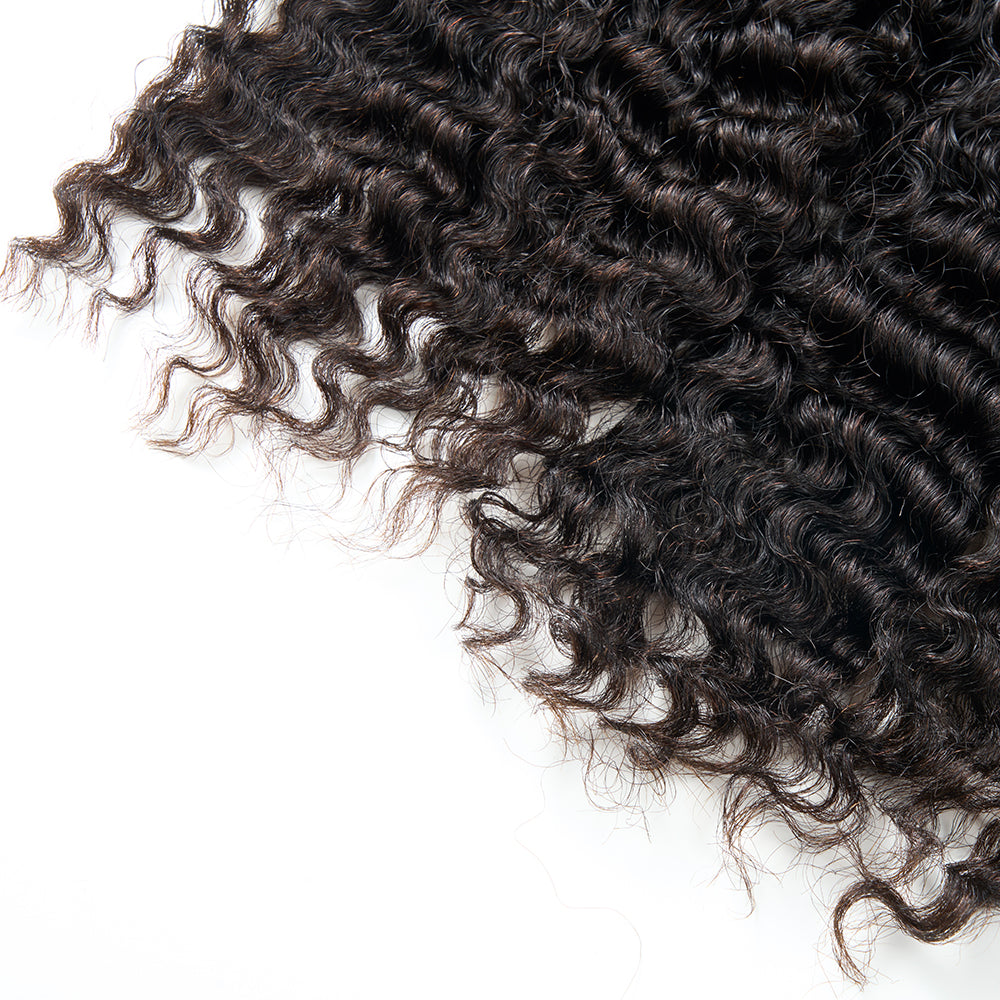 13A BURMESE CURL BUNDLE