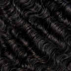13A BURMESE CURL BUNDLE