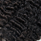 13A BURMESE CURL BUNDLE