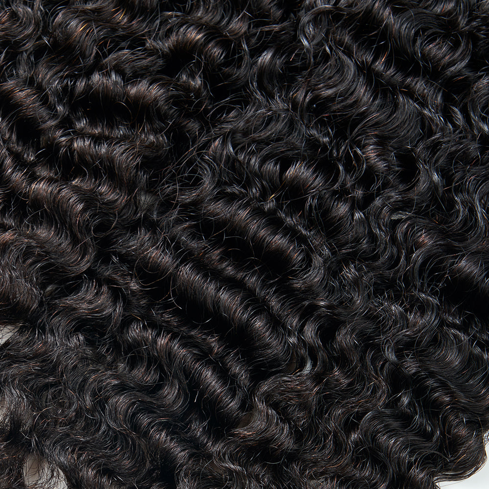 13A BURMESE CURL BUNDLE